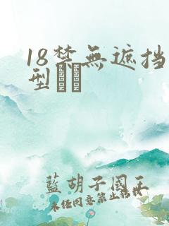 18禁无遮挡型