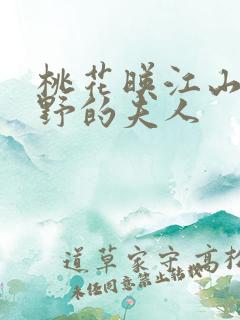桃花映江山沈在野的夫人