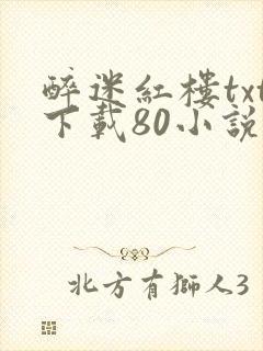 醉迷红楼txt下载80小说网