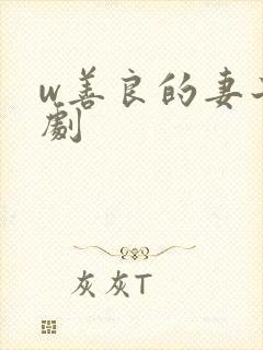 w善良的妻子韩剧