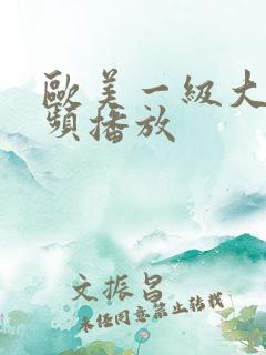 欧美一级大片视频播放