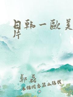 日韩一欧美一级片