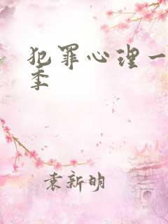 犯罪心理一共几季