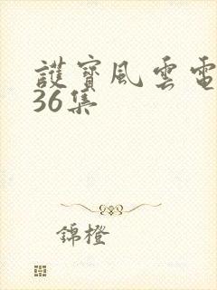 护宝风云电视剧36集