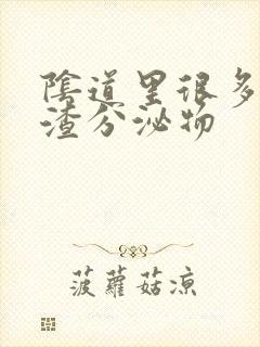 阴道里很多豆腐渣分泌物