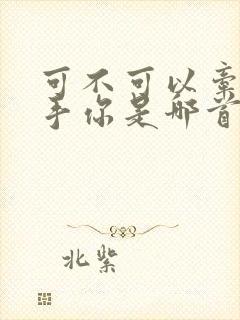 可不可以牵你的手你是哪首歌歌词