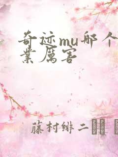 奇迹mu哪个职业厉害