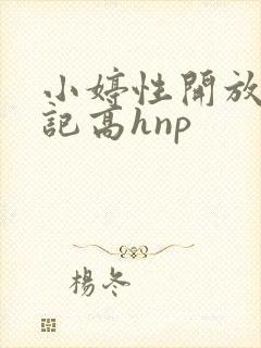 小婷性开放肉日记高hnp