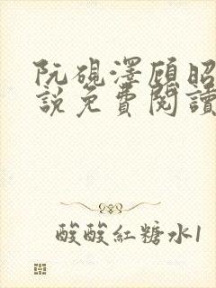 阮砚泽顾昭宁小说免费阅读最新章节