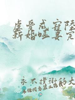 虐爱成宠陆总的新婚哑妻完整版