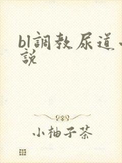 bl调教尿道小说