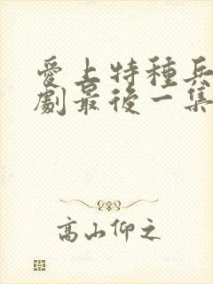 爱上特种兵电视剧最后一集