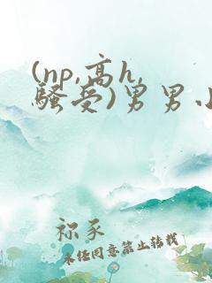 (np,高h,骚受)男男小说