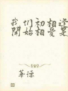 我们初相逢我们开始相爱是什么歌