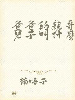 爸爸的亲哥哥的儿子叫什么