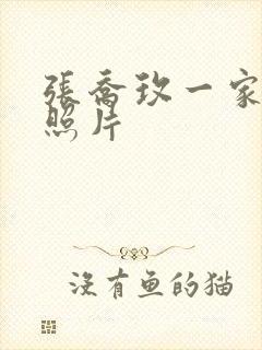 张乔玫一家三口照片