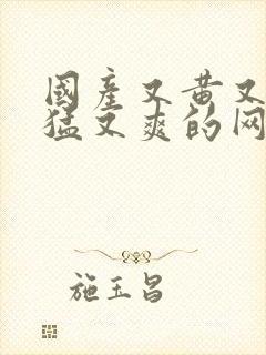 国产又黄又粗又猛又爽的网址