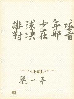 排球少年垃圾场对决在哪看