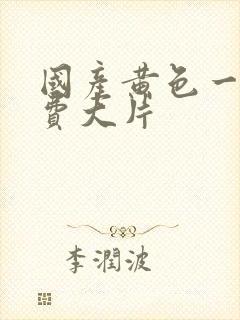 国产黄色一级免费大片