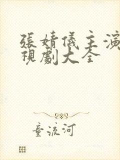 张婧仪主演的电视剧大全