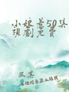 小娘惹50集电视剧免费