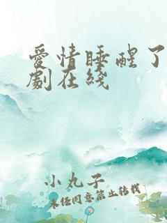 爱情睡醒了电视剧在线