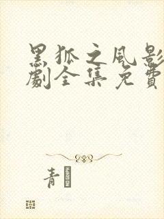 黑狐之风影电视剧全集免费