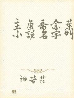 主角乔念叶妄川小说名字叫什么