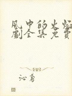 风中的火焰电视剧全集免费观看