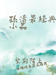 孙涛最经典十部小品