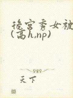 后宫秀女被调教(高h,np)