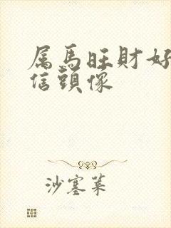 属马旺财好运微信头像