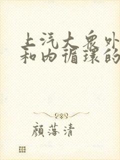 上汽大众外循环和内循环的图标