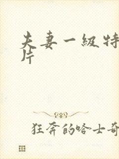 夫妻一级特黄大片