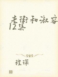 老卫和淑容1一12集