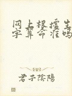 网上根据生辰八字算命准吗