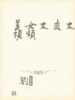 美女又爽又黄的视频