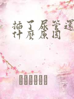 插了尿管还漏尿什么原因