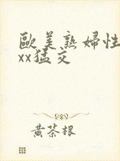 欧美熟妇性xxxx猛交