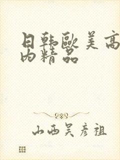 日韩欧美高清国内精品