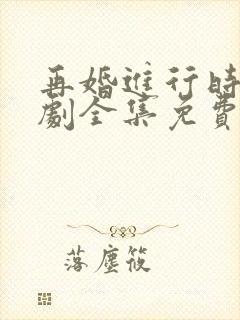 再婚进行时电视剧全集免费播放