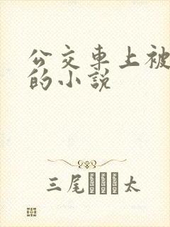 公交车上被性侵的小说