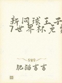 新网球王子u17世界杯免费观看动漫