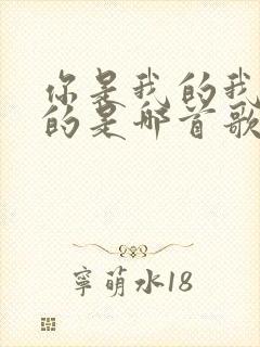 你是我的我是你的是哪首歌的歌词