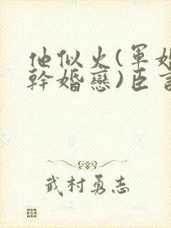 他似火(军婚高干婚恋)臣言最新章节