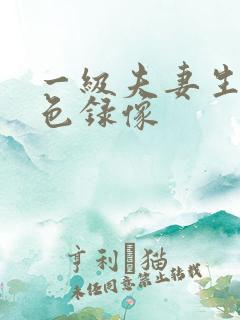 一级夫妻生活黄色录像