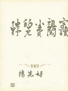 他的小祖宗甜又野免费阅读全文