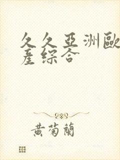 久久亚洲欧美国产综合