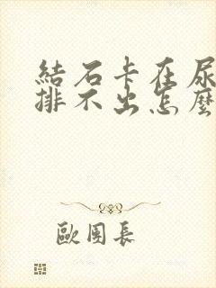 结石卡在尿道口排不出怎么办