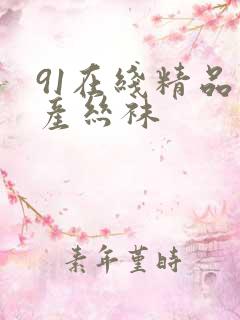 91在线精品国产丝袜